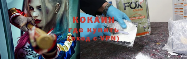 трава Бородино