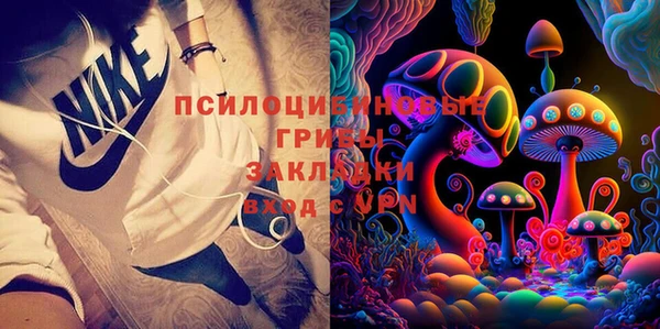 трава Бородино