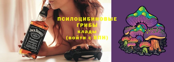 герыч Бронницы