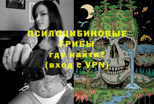 герыч Бронницы