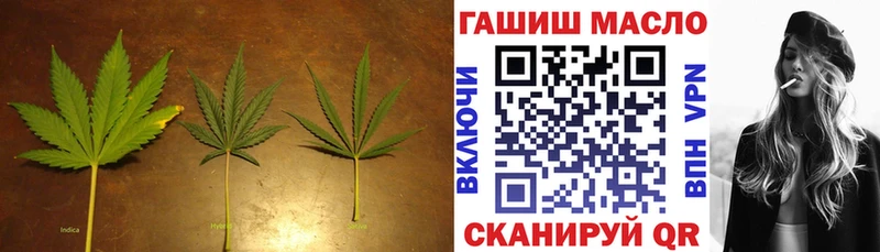 блэк спрут tor  Новоржев  ТГК Wax  как найти закладки 