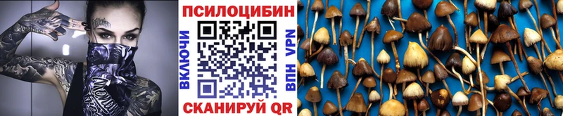 Псилоцибиновые грибы ЛСД  Новоржев 