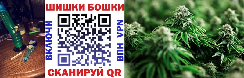 Бошки марихуана AK-47  где купить наркотик  Новоржев 